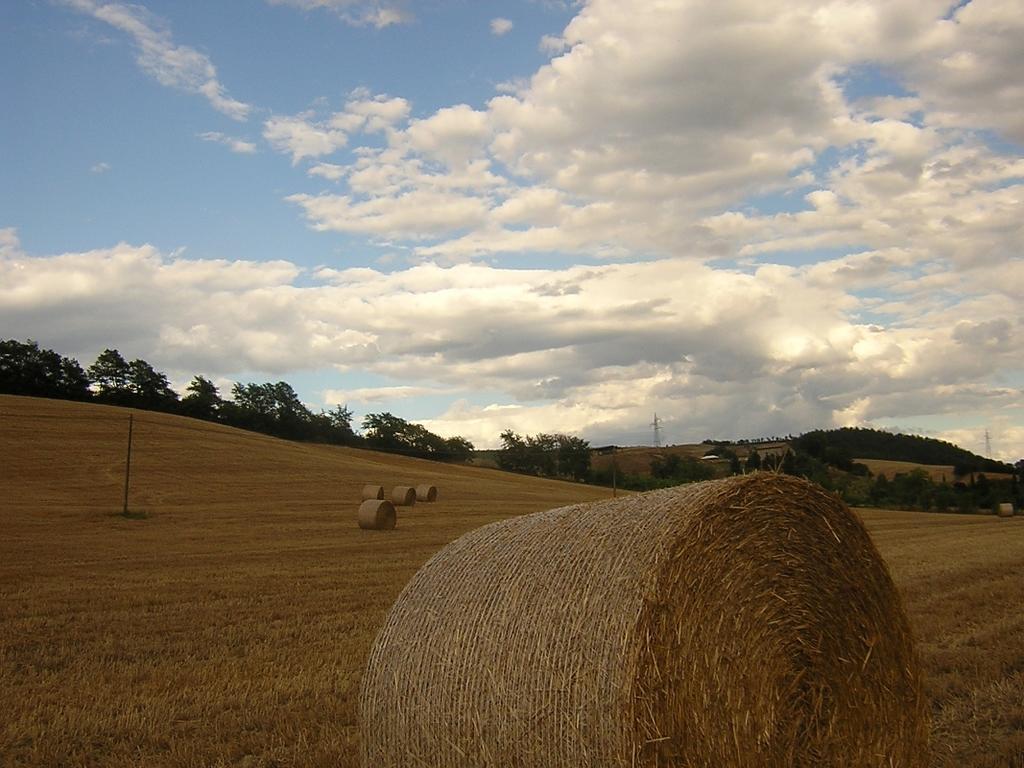 Agriturismo Le Spighe Proceno Kültér fotó