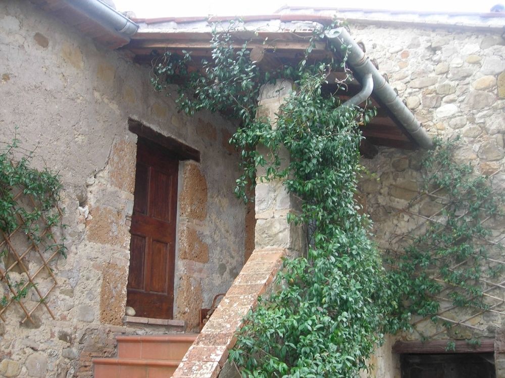 Agriturismo Le Spighe Proceno Kültér fotó