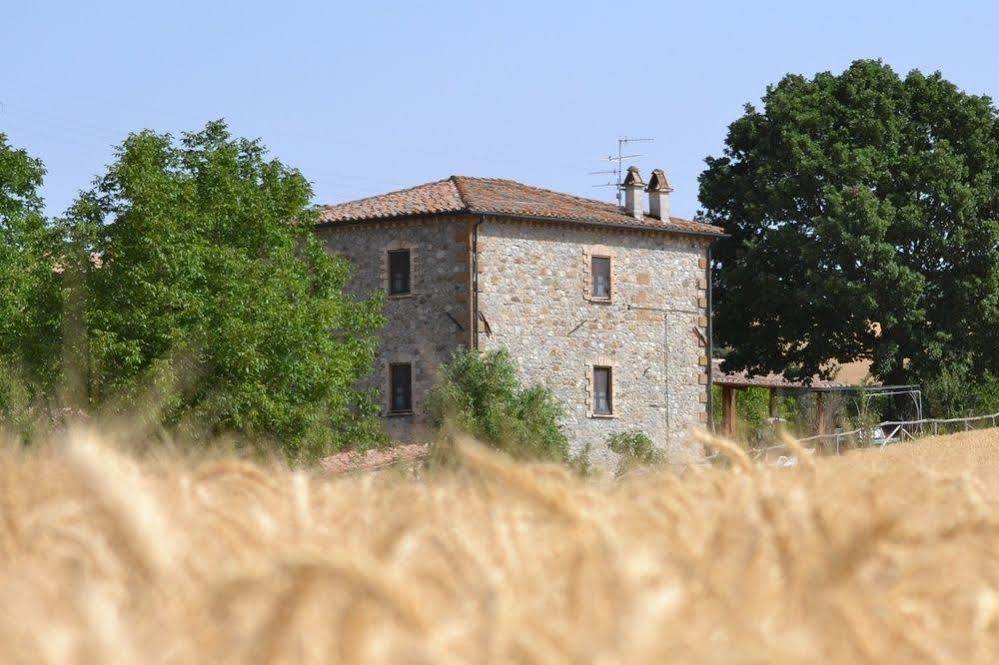 Agriturismo Le Spighe Proceno Kültér fotó