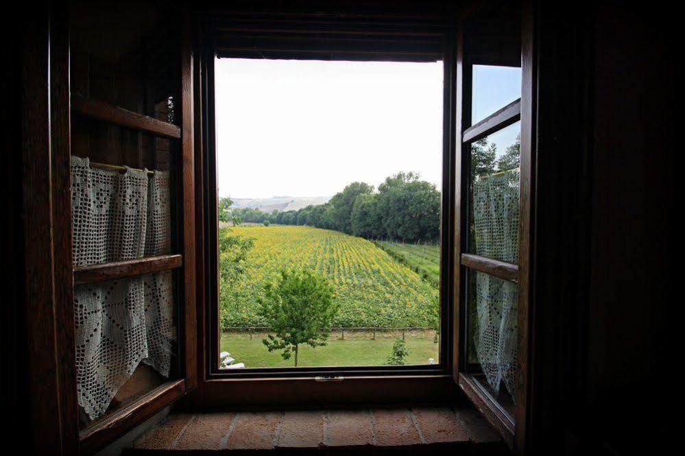 Agriturismo Le Spighe Proceno Kültér fotó