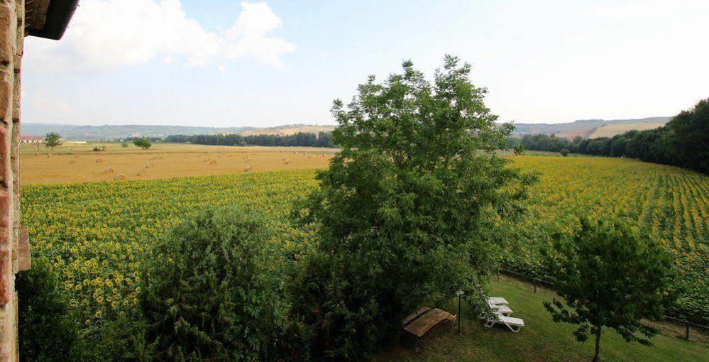Agriturismo Le Spighe Proceno Kültér fotó